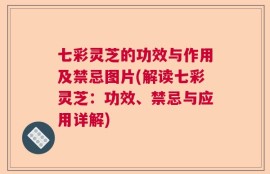 七彩灵芝的功效与作用及禁忌图片(解读七彩灵芝：功效、禁忌与应用详解)