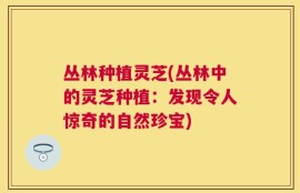 丛林种植灵芝(丛林中的灵芝种植：发现令人惊奇的自然珍宝)