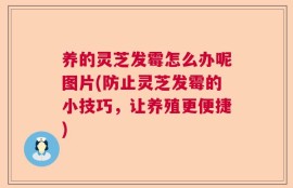 养的灵芝发霉怎么办呢图片(防止灵芝发霉的小技巧，让养殖更便捷)
