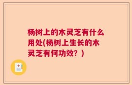 杨树上的木灵芝有什么用处(杨树上生长的木灵芝有何功效？)