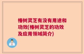 椿树灵芝有没有用途和功效(椿树灵芝的功效及应用领域简介)