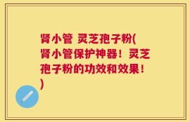 肾小管 灵芝孢子粉(肾小管保护神器！灵芝孢子粉的功效和效果！)