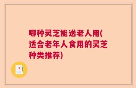 哪种灵芝能送老人用(适合老年人食用的灵芝种类推荐)