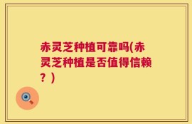 赤灵芝种植可靠吗(赤灵芝种植是否值得信赖？)