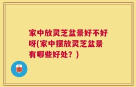 家中放灵芝盆景好不好呀(家中摆放灵芝盆景有哪些好处？)