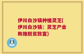 伊川白沙镇种植灵芝(伊川白沙镇：灵芝产业助推脱贫致富)
