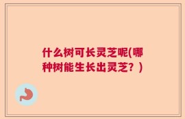 什么树可长灵芝呢(哪种树能生长出灵芝？)