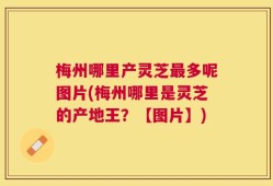 梅州哪里产灵芝最多呢图片(梅州哪里是灵芝的产地王？【图片】)