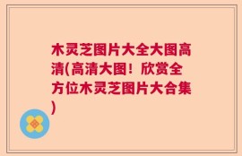 木灵芝图片大全大图高清(高清大图！欣赏全方位木灵芝图片大合集)
