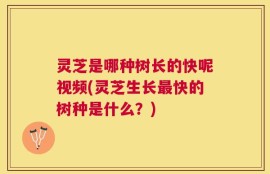 灵芝是哪种树长的快呢视频(灵芝生长最快的树种是什么？)