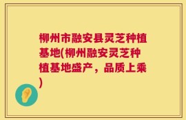 柳州市融安县灵芝种植基地(柳州融安灵芝种植基地盛产，品质上乘)