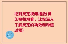 挖到灵芝视频播放(灵芝视频观看，让你深入了解灵芝的功效和种植过程)