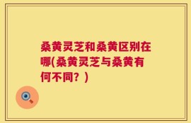 桑黄灵芝和桑黄区别在哪(桑黄灵芝与桑黄有何不同？)