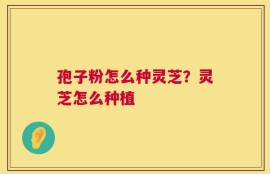 孢子粉怎么种灵芝？灵芝怎么种植