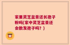 家里灵芝盆景还长孢子粉吗(家中灵芝盆景还会散发孢子吗？)