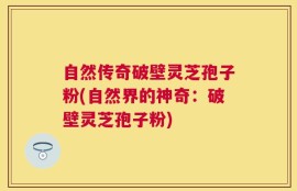 自然传奇破壁灵芝孢子粉(自然界的神奇：破壁灵芝孢子粉)