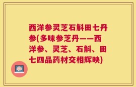 西洋参灵芝石斛田七丹参(多味参芝丹——西洋参、灵芝、石斛、田七四品药材交相辉映)