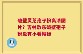 破壁灵芝孢子粉高清图片？吉林敖东破壁孢子粉没有小看帽标