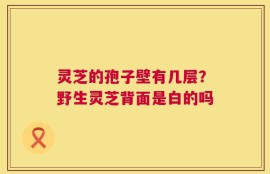 灵芝的孢子壁有几层？野生灵芝背面是白的吗