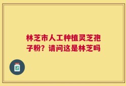 林芝市人工种植灵芝孢子粉？请问这是林芝吗
