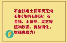 石金钱龟土茯苓灵芝炖石斛(龟扔石斛汤：石金钱、土茯苓、灵芝等植物饮品，有益消化，增强免疫力)