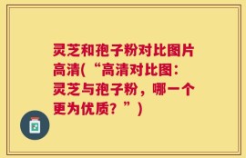 灵芝和孢子粉对比图片高清(“高清对比图：灵芝与孢子粉，哪一个更为优质？”)