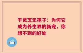 干灵芝无孢子：为何它成为养生界的新宠，你想不到的好处