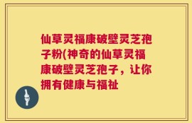 仙草灵福康破壁灵芝孢子粉(神奇的仙草灵福康破壁灵芝孢子，让你拥有健康与福祉