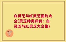 白灵芝与红灵芝图片大全(灵芝种类详解：白灵芝与红灵芝大合集)