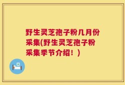 野生灵芝孢子粉几月份采集(野生灵芝孢子粉采集季节介绍！)