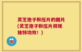 灵芝孢子粉压片的图片(灵芝孢子粉压片初现独特功效！)