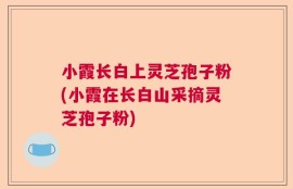 小霞长白上灵芝孢子粉(小霞在长白山采摘灵芝孢子粉)