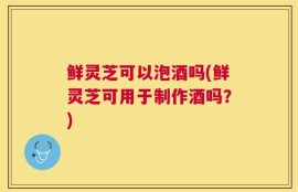 鲜灵芝可以泡酒吗(鲜灵芝可用于制作酒吗？)