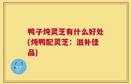 鸭子炖灵芝有什么好处(炖鸭配灵芝：滋补佳品)