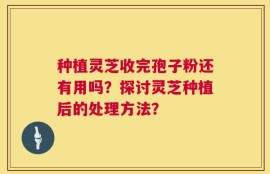 种植灵芝收完孢子粉还有用吗？探讨灵芝种植后的处理方法？