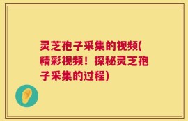 灵芝孢子采集的视频(精彩视频！探秘灵芝孢子采集的过程)