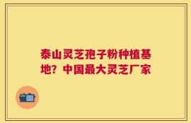 泰山灵芝孢子粉种植基地？中国最大灵芝厂家