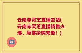 云南赤灵芝直播卖货(云南赤灵芝直播销售火爆，顾客抢购无数！)