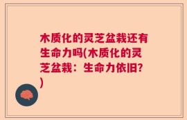 木质化的灵芝盆栽还有生命力吗(木质化的灵芝盆栽：生命力依旧？)
