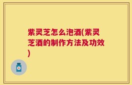 紫灵芝怎么泡酒(紫灵芝酒的制作方法及功效)