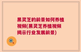 黑灵芝的前景如何养植视频(黑灵芝养植视频揭示行业发展前景)