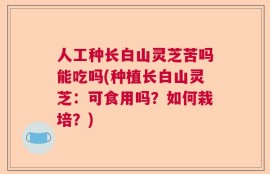 人工种长白山灵芝苦吗能吃吗(种植长白山灵芝：可食用吗？如何栽培？)