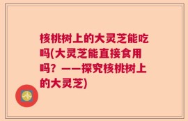 核桃树上的大灵芝能吃吗(大灵芝能直接食用吗？——探究核桃树上的大灵芝)