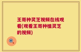 王哥种灵芝视频在线观看(观看王哥种植灵芝的视频)