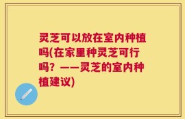 灵芝可以放在室内种植吗(在家里种灵芝可行吗？——灵芝的室内种植建议)