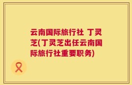 云南国际旅行社 丁灵芝(丁灵芝出任云南国际旅行社重要职务)