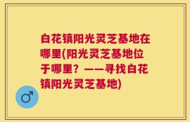 白花镇阳光灵芝基地在哪里(阳光灵芝基地位于哪里？——寻找白花镇阳光灵芝基地)