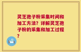 灵芝孢子粉采集时间和加工方法？详解灵芝孢子粉的采集和加工过程？