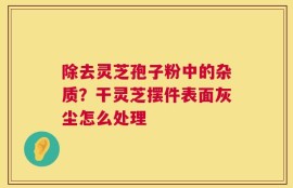 除去灵芝孢子粉中的杂质？干灵芝摆件表面灰尘怎么处理