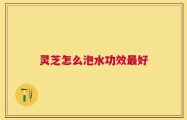 灵芝怎么泡水功效最好